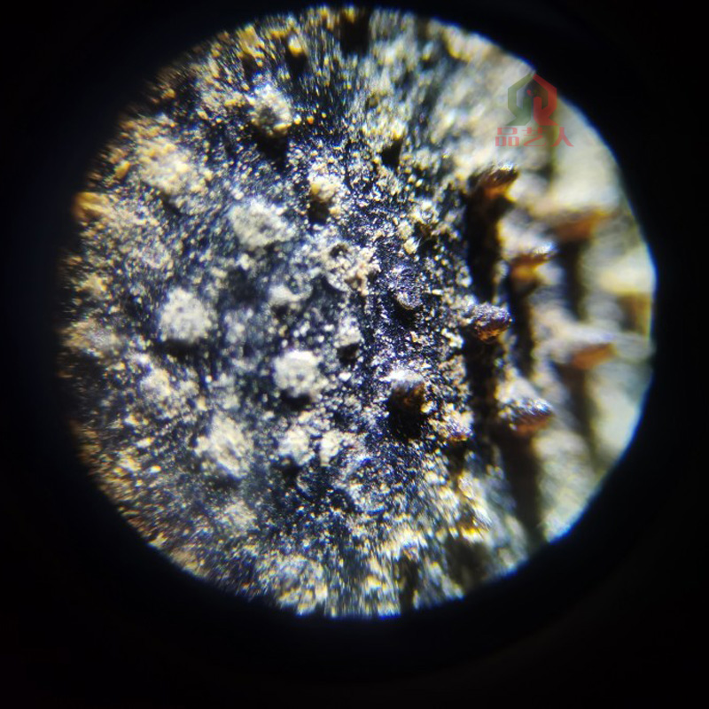 ����������΢���۲�